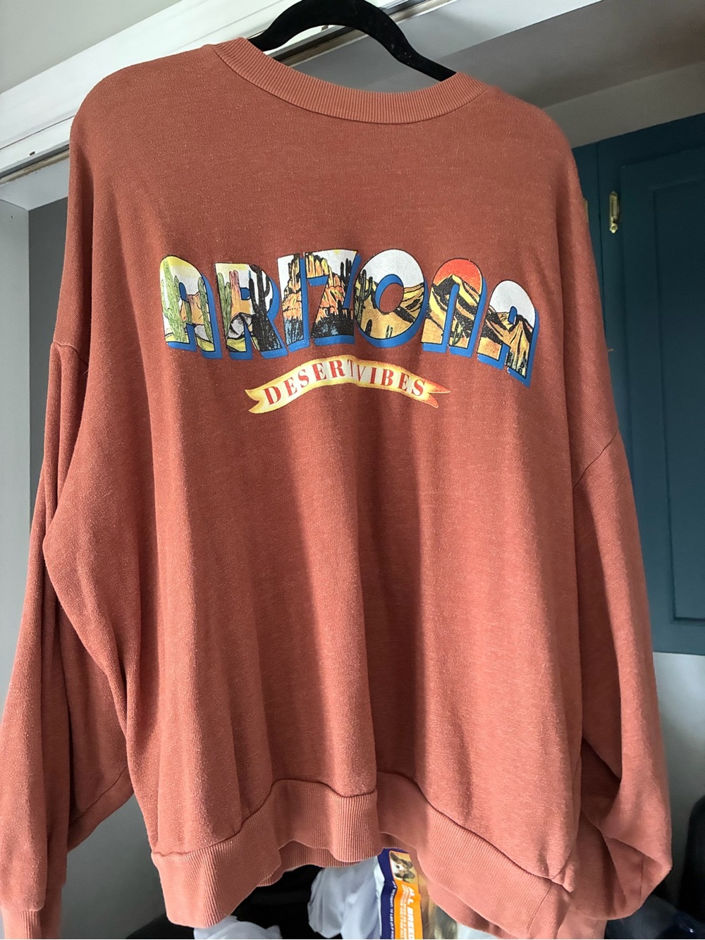 Modish Rebel Rust Colored Soft Slouched Crewneck